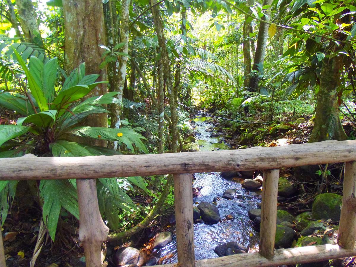 Hotel Valle Azul San Gerardo Værelse billede