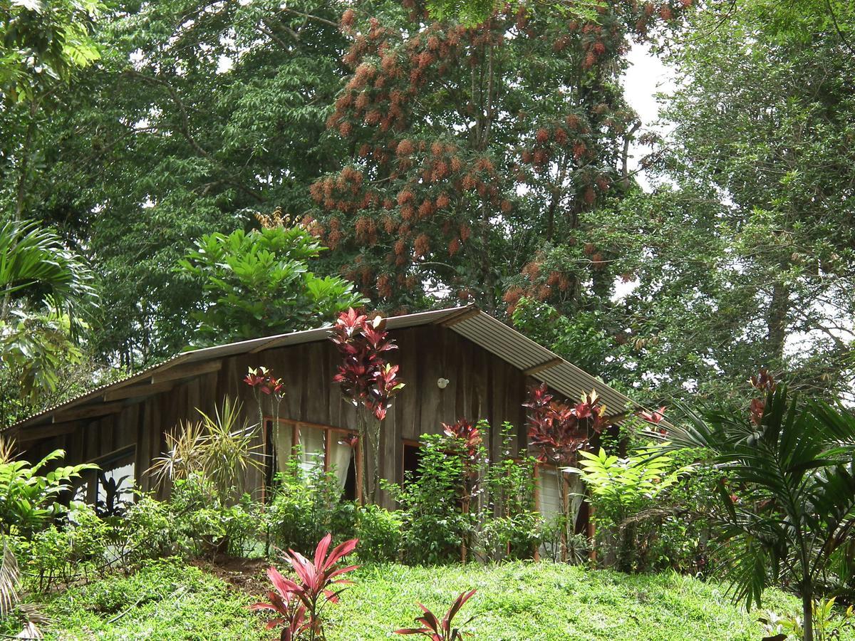 Hotel Valle Azul San Gerardo Værelse billede