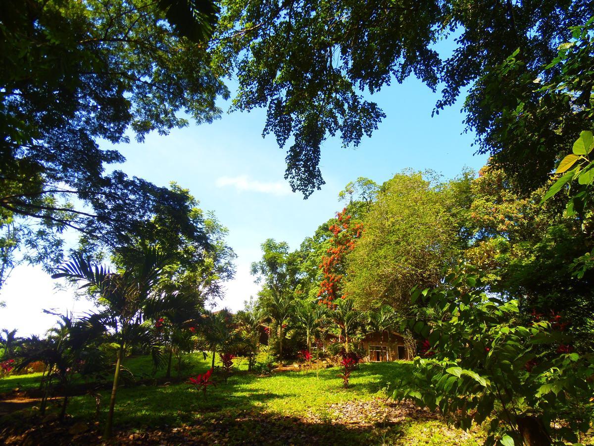 Hotel Valle Azul San Gerardo Værelse billede