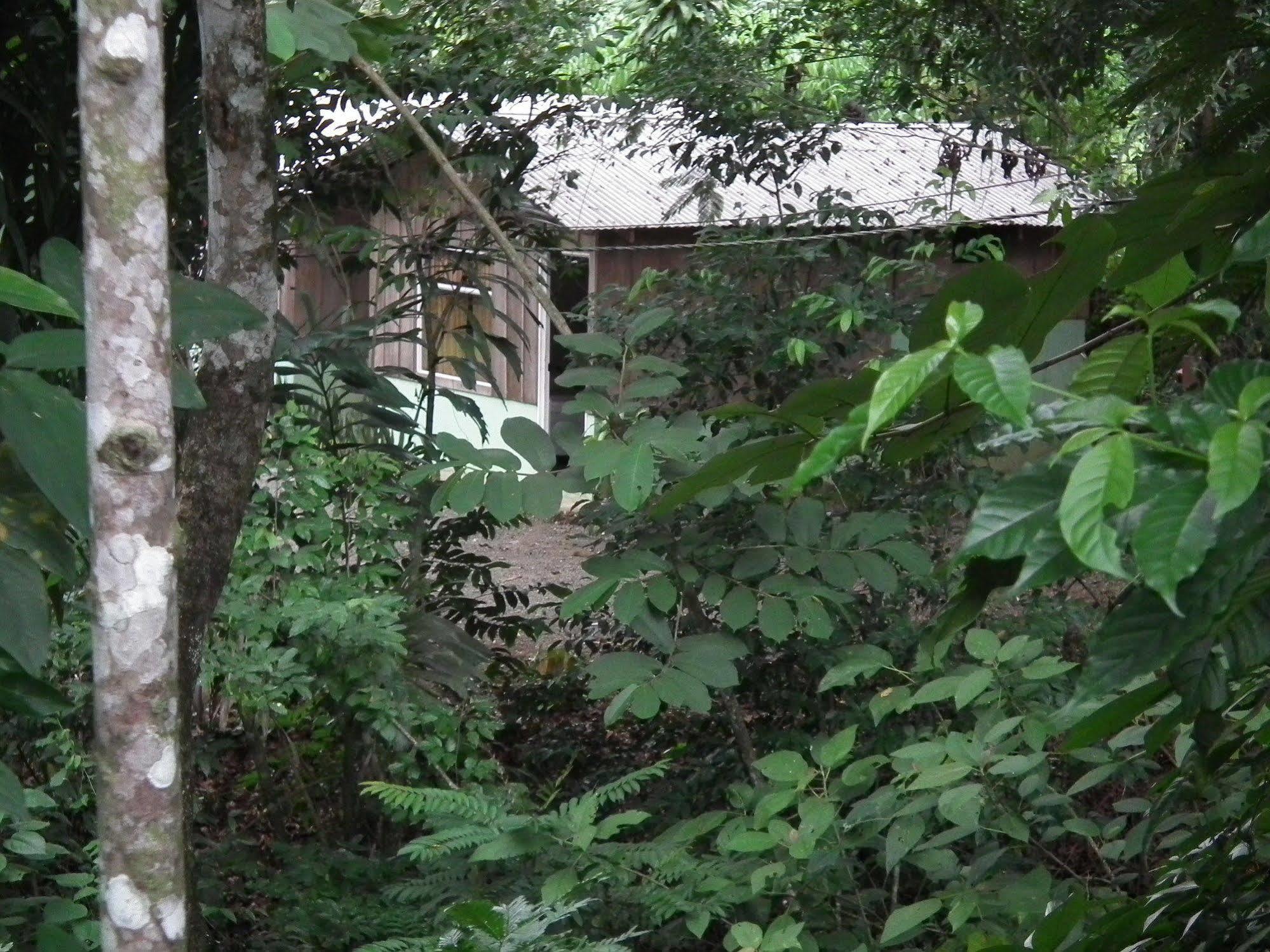 Hotel Valle Azul San Gerardo Eksteriør billede